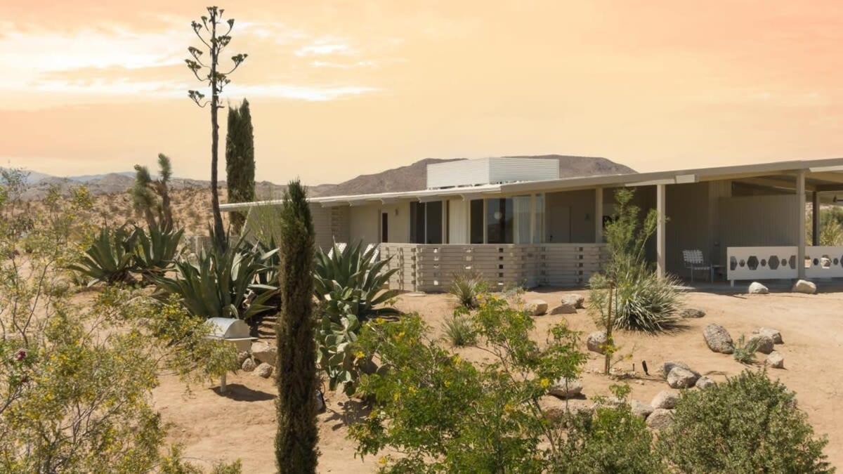 The Bungalows By Homestead Modern Joshua Tree Buitenkant foto