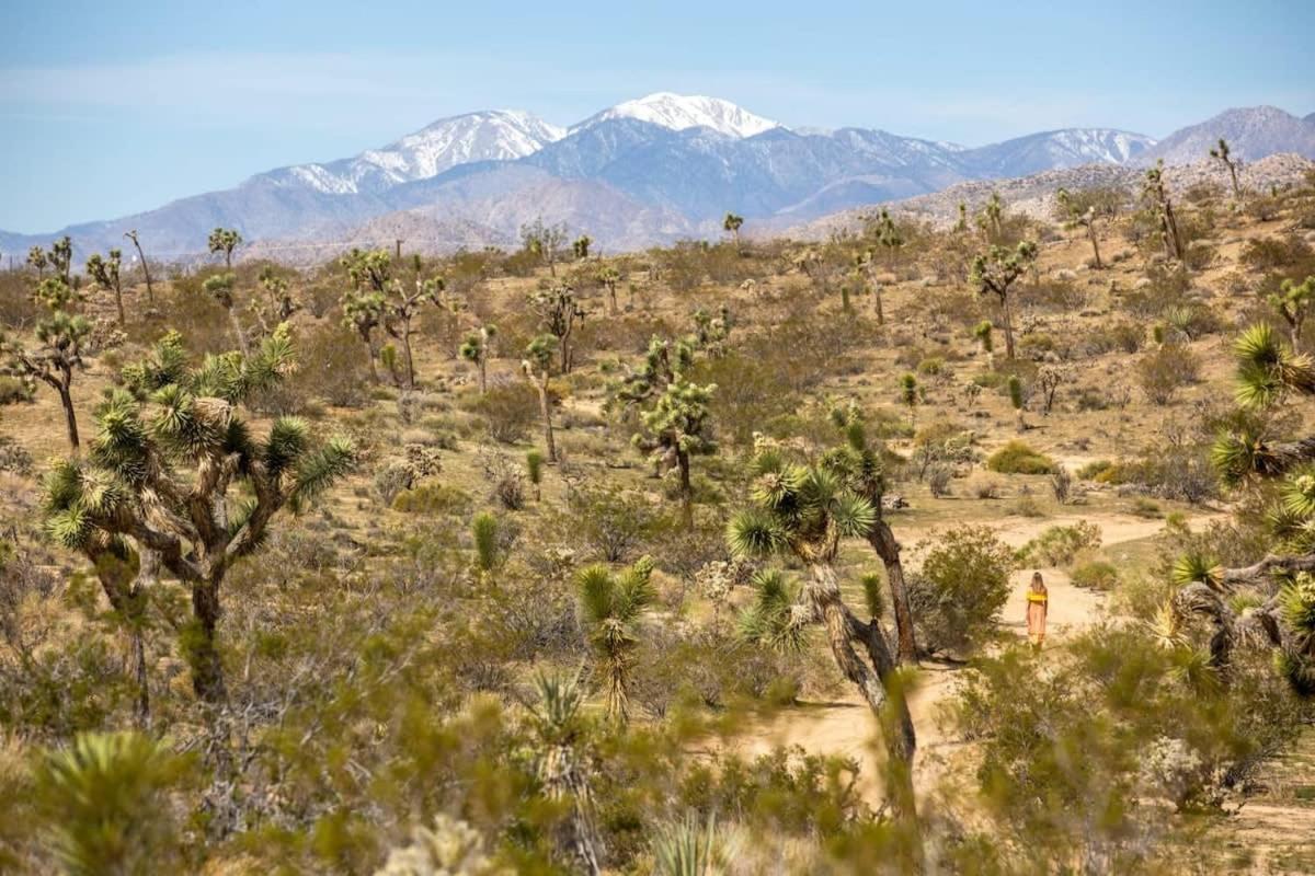 The Bungalows By Homestead Modern Joshua Tree Buitenkant foto