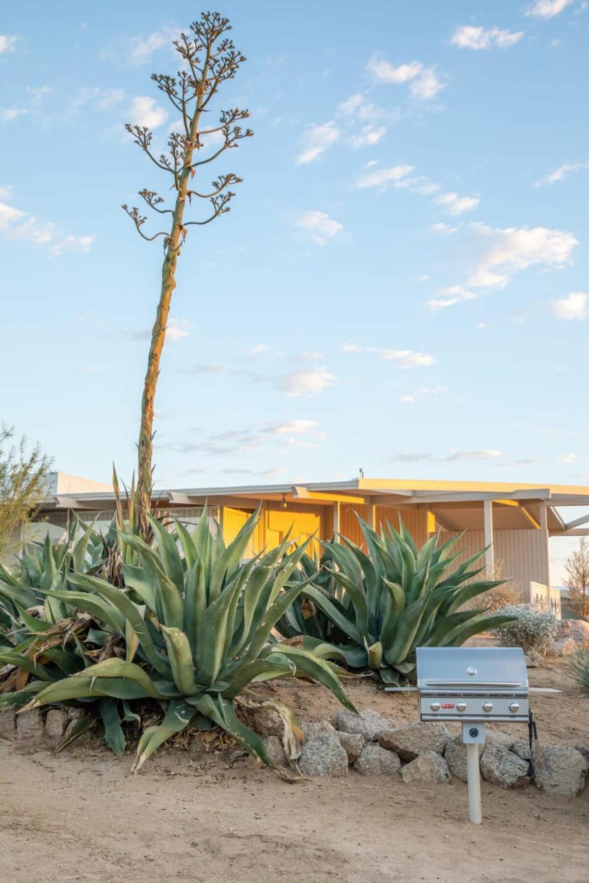The Bungalows By Homestead Modern Joshua Tree Buitenkant foto
